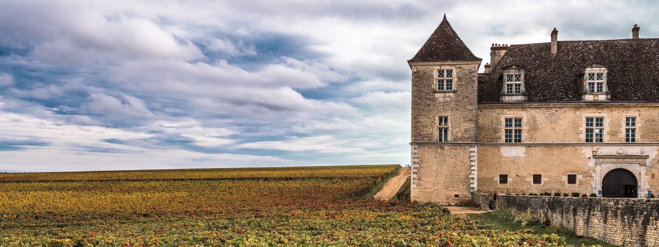 Rotweine aus dem Burgund