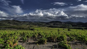 Fitou ist eine weitläufige Landschaft - meist karg und steinig. Ideal für feine Weine, wie von der [[win || ballansa || Domaine Balansa]]