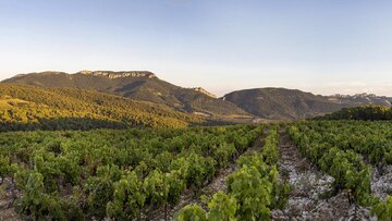 Die Weinberge von Séguret liegen auf Anhöhen. Grober Kiesel speichert die Wärme.
