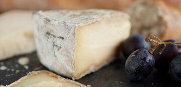 Gereifter Ziegen Camambert