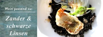 Zander mit Linsen - Chardonnay oder Viognier können zur Freude gereichen