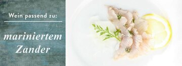 Marinierter Zander mit gehobeltem Fenchel