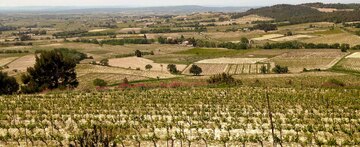Rasteau und die südlichen Weinberge