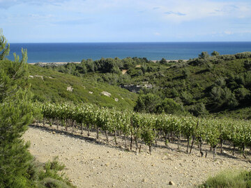 La Clape liegt auf einer Ebene, gebildet aus steilem Kalkfelsen des Jura