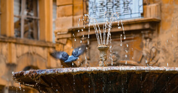 Brunnen gehören zu jedem Dorf an der Rhône. [[reg || Sablet]]