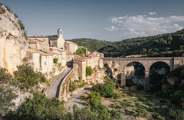 Merlot in Minervois auf dem Château du Donjon