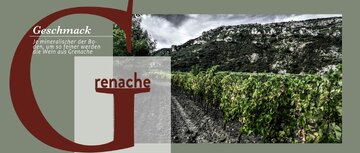 Grenache im Languedoc