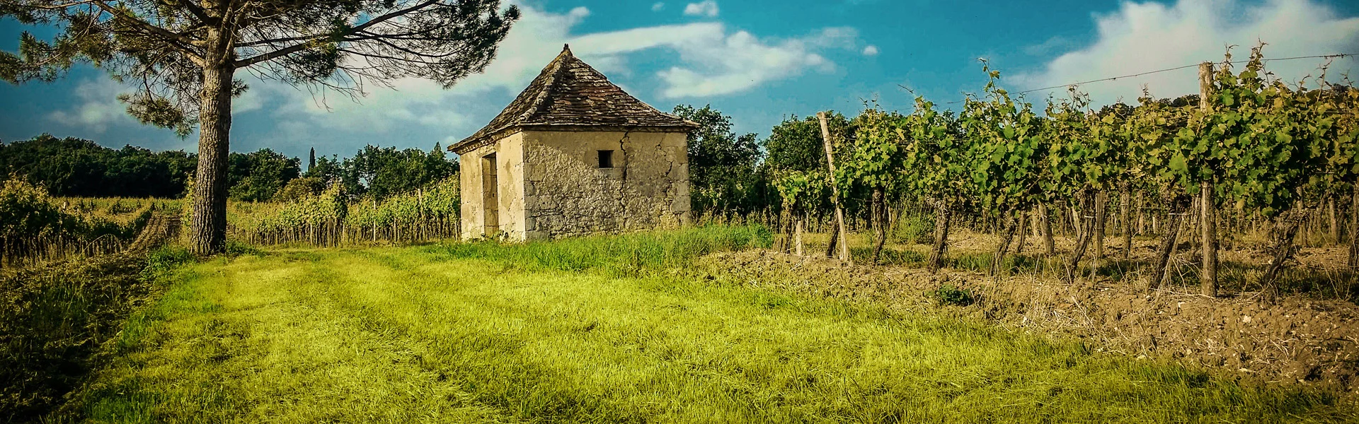 Haus im Weinberg. Cahors