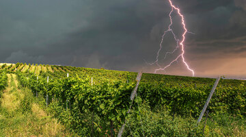 Gewitter und damit leider auch Hagel und Überflutungen sind die großen Bedrohungen der Weinberge im Sommer.