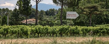 Viele Winzer haben Weinberge in Vacqueyras, das Weingut ist jedoch an einem anderen Ort. Was zählt ist, wo die Reben stehen. Im Hintergrund der [[reg || Mont Ventoux]].