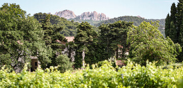 Weinberge von Vacqueyras liegen auf flachem Schwemmland bis in höhere, kühlere Lagen mit deutlich älterem Gestein, das aufgeworfen wurde.